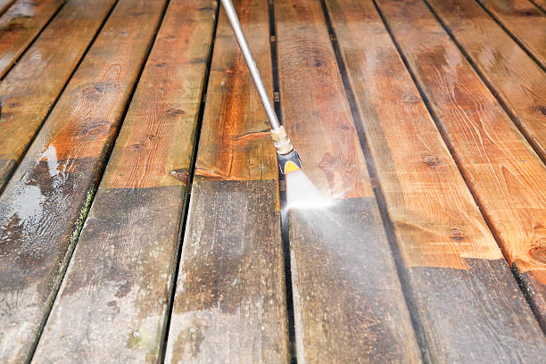 Best Pool Deck Cleaning  in Winter Garden, FL